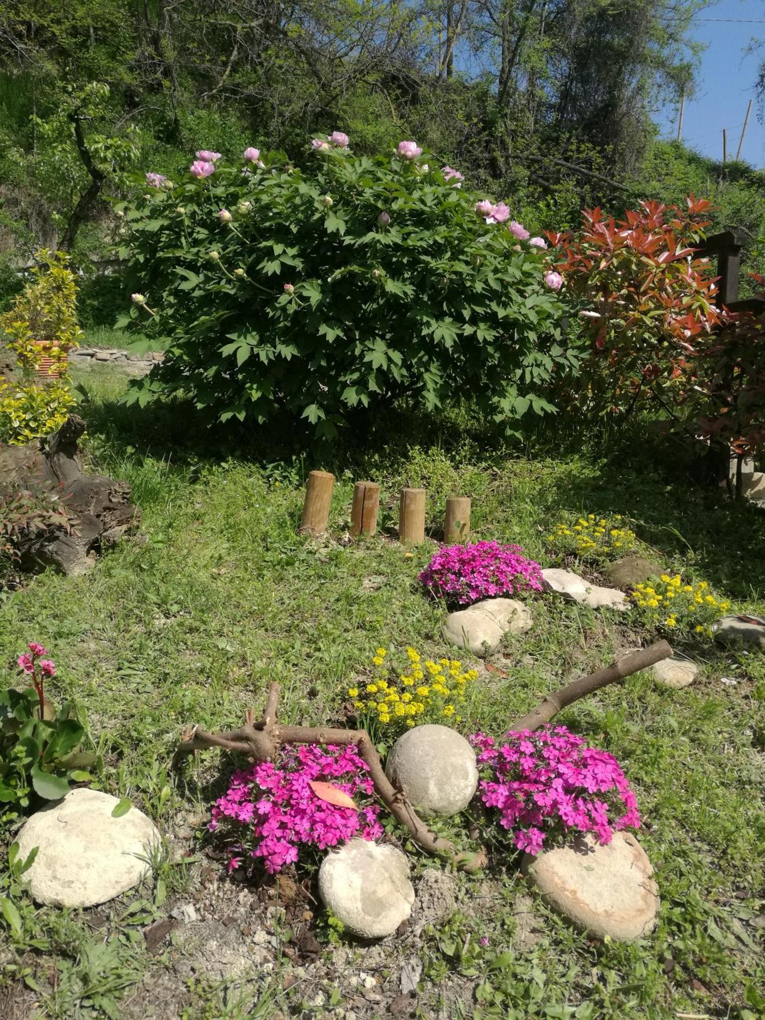הוילה Mango Le Rose Di Mapi מראה חיצוני תמונה